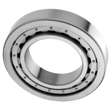 45 mm x 100 mm x 25 mm  SIGMA NUP 309 cylindrical roller bearings