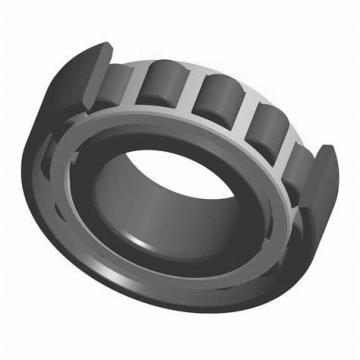 Toyana NJ2313 E cylindrical roller bearings